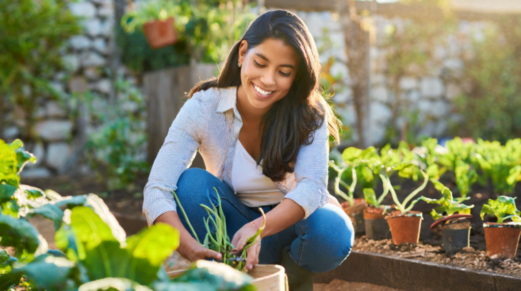 Beneficios de tener un huerto urbano